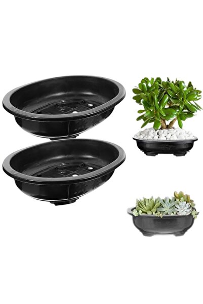 Generic أصيص بونساي بيضاوي من أزوني، قطعتان من أوعية تدريب بونساي بلاستيكية ب...