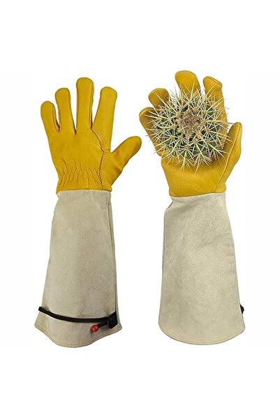 Generic قفازات بستنة قابلة للتمدد من X Spring، قفازات الصبار، قفازات بستنة مق...