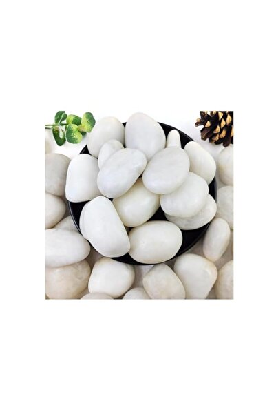 Generic vsell24 5-8cm Extra Large White River Rocks for Landscaping – Natural...