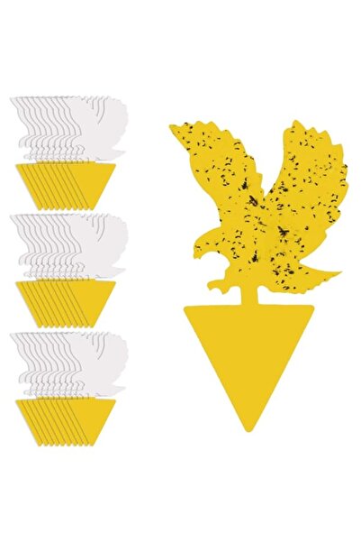 Generic مصائد ذباب الفاكهة وذباب الفطريات الداخلية، عبوة من 30 ورقة لاصقة صفر...