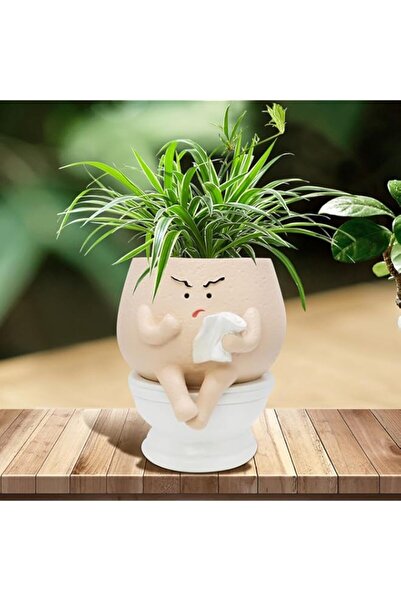 Generic أواني زراعة عبوسة من تزوييق للنباتات الداخلية، أواني زراعة برؤوس زهور...