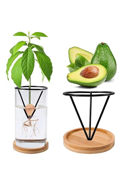 Generic مزهرية زراعة الأفوكادو من كاست ويف، قاعدة خشبية، مزهرية لبدء بذور الأ...