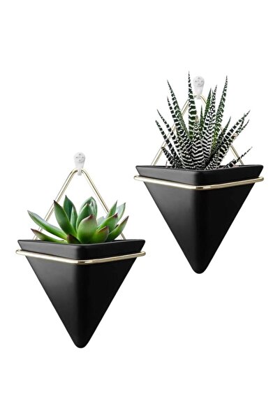 Generic DELFINO وعاء زرع حائطي صغير من السيراميك، عبوة من قطعتين من أواني الز...