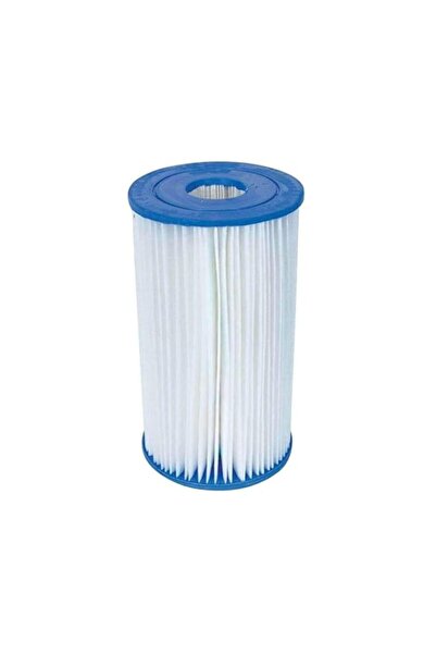 Generic Intex 29000E Type A and C Filter Cartridge for Pools
