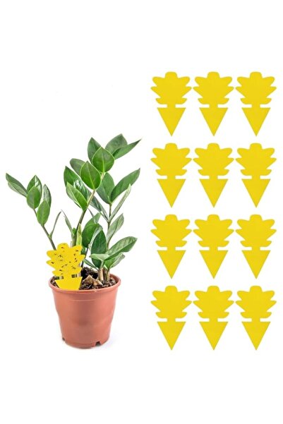Generic Double-Sided Yellow Sticky Trap for Fruit Flies & Fungus Gnats - Non-...