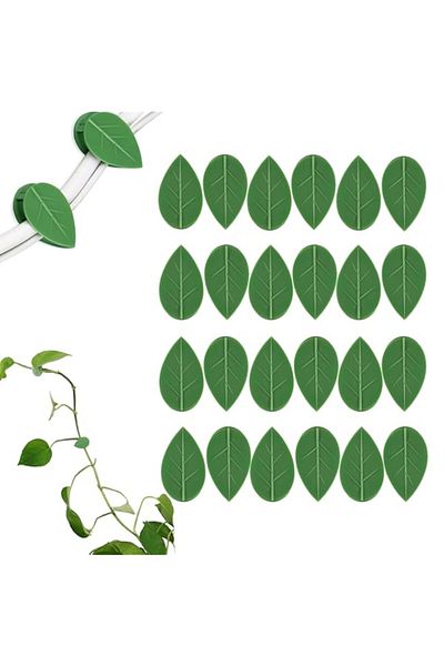 Generic LUOTIVON 24 Pcs Plant Climbing Wall Fixture Clips, Plant Fixer Invisible Wall Vines Fixing Clips wi