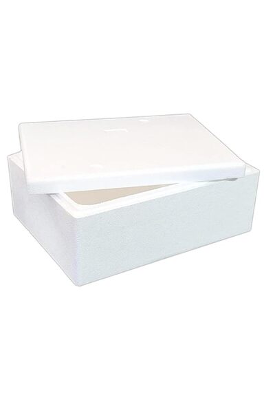 Generic صندوق تبريد حراري سعة ١٥ كجم مع غطاء، سعة ٥٠ لترًا | صندوق تبريد من ا...