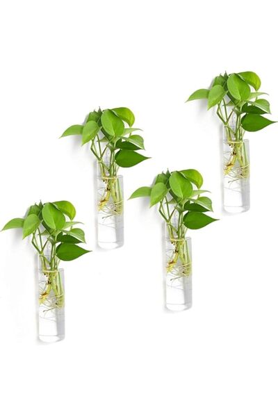 Generic مجموعة من 4 أوعية زجاجية للتعليق على الحائط من ChicAbode، أوعية زجاجي...