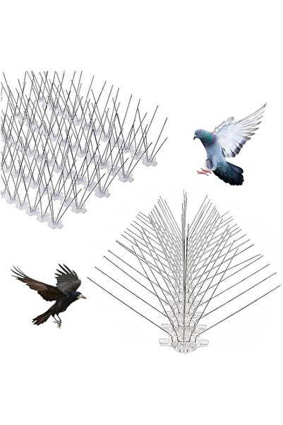 Generic (عبوة من 10) مسامير طاردة للطيور من الفولاذ المقاوم للصدأ بخمسة دبابي...