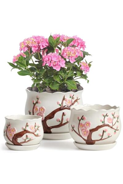 Generic أواني نباتات سيراميك من أنججو بفتحات تصريف وصحون، مجموعة من 3 أواني ز...