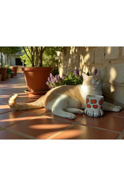 Home Ceramic Handmade Paw Mug