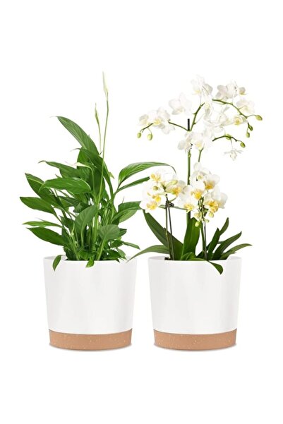 Generic Plastic Flowerpot, 7.8 Inch Indoor Plant Pots Round Straight Anthony ...