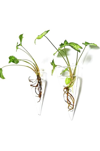 Generic حامل نباتات حائطي من شيك أبود، قطعتان، أصيص نباتات عصارية معلق، تررم ...