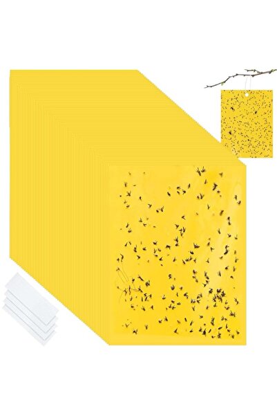 Generic عبوة من 50 مصيدة ذباب الفاكهة، مصيدة البعوض الصفراء اللاصقة القاتلة ل...