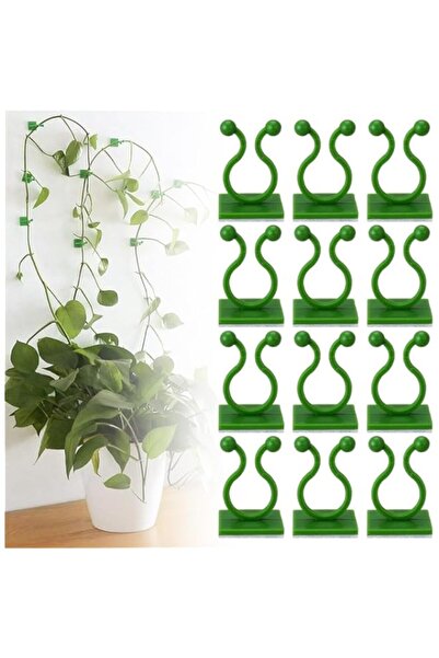 Generic BIGTHREE 100-Piece Plant Climbing Wall Fixture Clips, Plants Clips Fo...