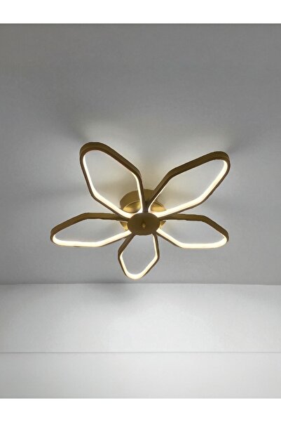 Home Eskitme Çiçek Ledli Tabana Yapışık 3 Rrenk (Beyaz Sarı Ve Gün Işığı) Salon Mutfak 1Yil Garanti