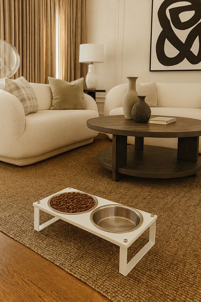 Okay Healthy Eating Stand for Cats and Dogs, Stylish Design and Non-Slip Feet