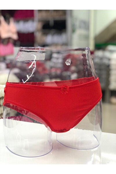 Generic Brand ملابس داخلية EBRU Micro Fabric Slip Panties Eco Pack (6 قطع)