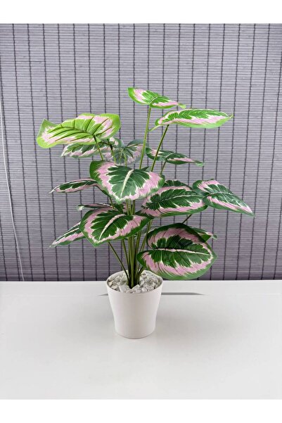 Bahçem Yapay Yapraklı Salon Rosy Dua Çiçeği Beyaz Saksılı 18 Yapraklı 65cm