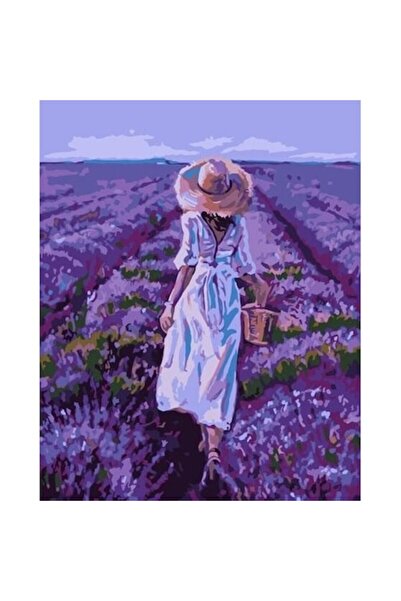 qbee Pictură pe numere - Câmp de lavandă 40x50cm