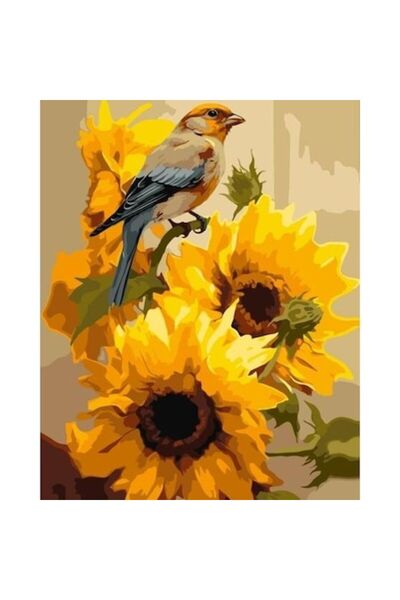 qbee Pictură pe numere - Frison pe pânză, 40x50 cm