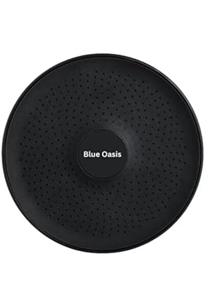 Blue Oasis Shower Filter Blue Oasis Matte Black Rain Shower Head – High Pressure Filtered Shower for Hair & Skin – KDF55