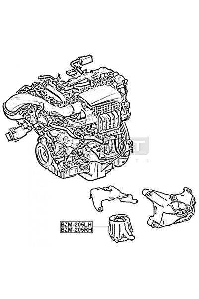 FEBEST Right engine mount (hydro bearing) BZM-205RH MERCEDES-BENZ C-CLASS W205