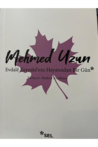 Sel Yayıncılık Evdale Zeynike`nin Hayatından Bir Gün