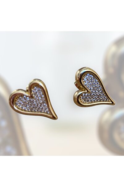 VEGALUXE Çelik Kalpli Zirkon Taşlı Küpe