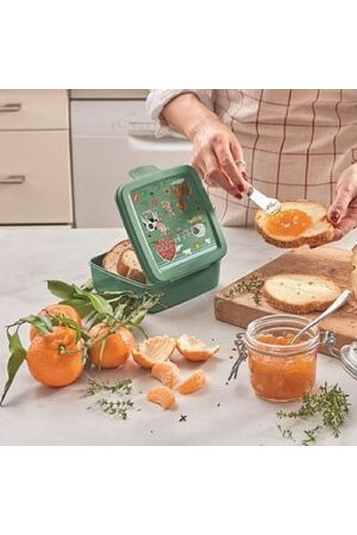 Snips Farm Polypropylene Kids Sandwich Box – Green 0.50L