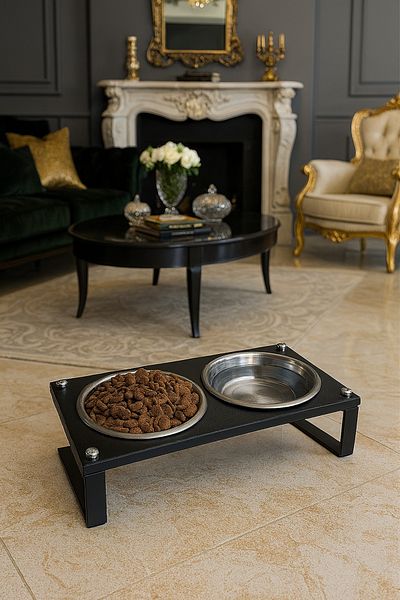 Okay Food and Water Stand for Cats and Dogs - 10 Percent Slope, High Quality and Healthy Design
