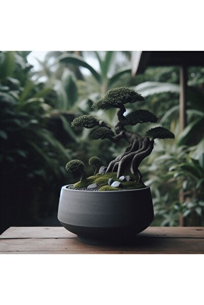 Sizseyy Minimalist Bonzai Vazo Bonsai(Bonsai Dahil Değil)