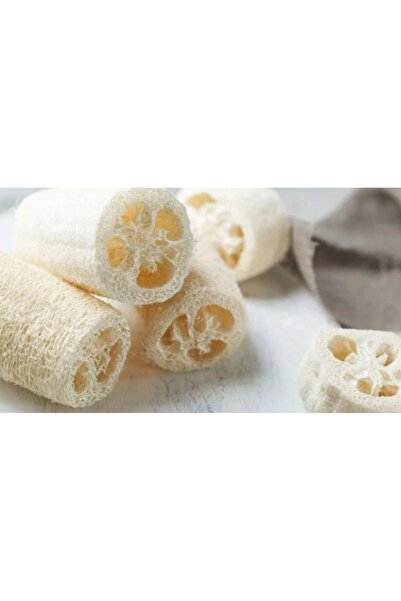 SWORTH PROFESSİONAL SOLİNGEN ŞEKİL منشفة أطباق من ألياف اليقطين الخام هي منتج...