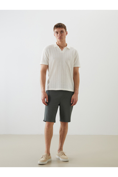 LC Waikiki Slim Fit Men's Shorts