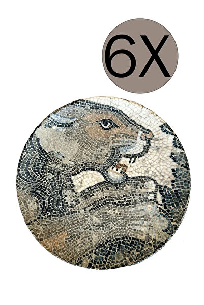 Bonna Porselen Mezopotamya Panter Gourmet Düz Tabak 17 cm 6'lı Takım S-MT-MZP...