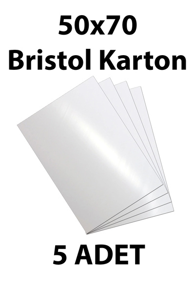 everart Bristol Kartonu 50x70 cm 5 Adet Çift Taraf Parlak Mat Yüzeyli Biristo...