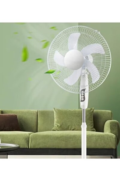 Denx Pedestal fan with oscillating function