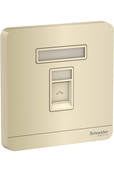 Schneider Electric E8331RJS_WG AvatarOn Gold - لوحة حائط Keystone أحادية العصابة مع مصراع بدون Keysto