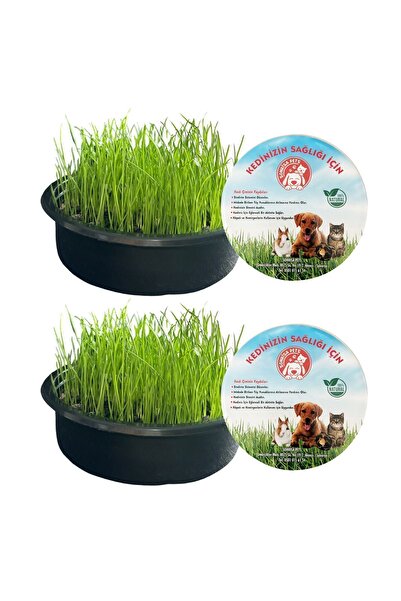 Sonrisa Pets Kedi Çimi Seti 2'li (FİLELİ) ❄️ “Kışa meydan okuyan Kedi çimi!”