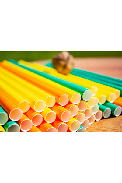 Paper Straws Paper straws, JUMBO - mix color, 250pcs/set - INDIVIDUALLY PACKED, 230 x 10mm