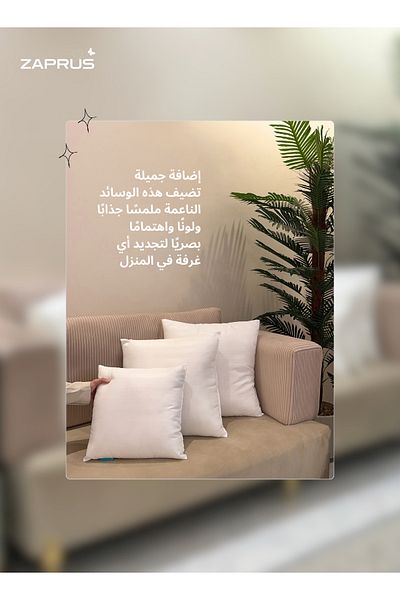 Zaprus Sofa Cushions Pack of 2 (50 x 50 cm), Microfiber Sofa Pillow Set Plush, Throw Pillows