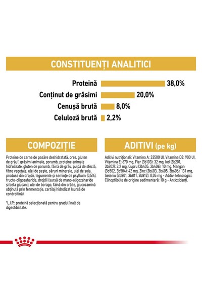 Royal Canin British Shorthair Kitten dry food for junior cats, 10 kg