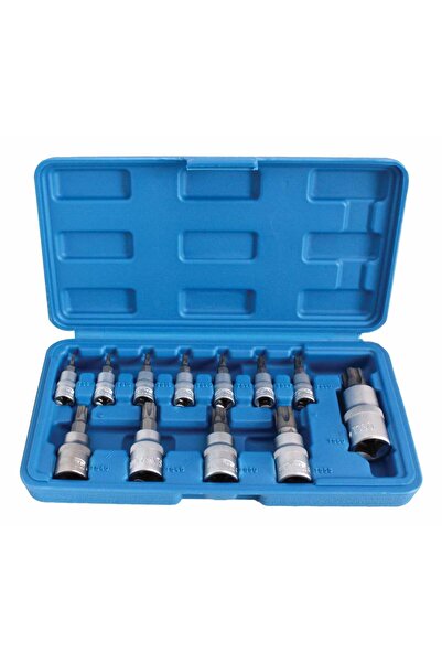 Techman ﻿SET CHEI BITI TORX CU GAURA TX8-TX60 13 PIESE