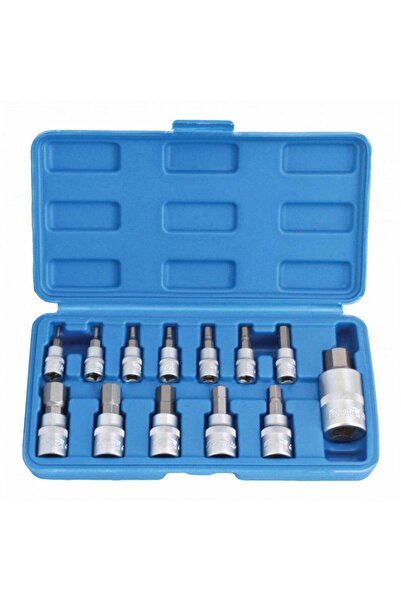 Techman TRUSA BITI IMBUS HEXAGONALE 1/2 13PIESE