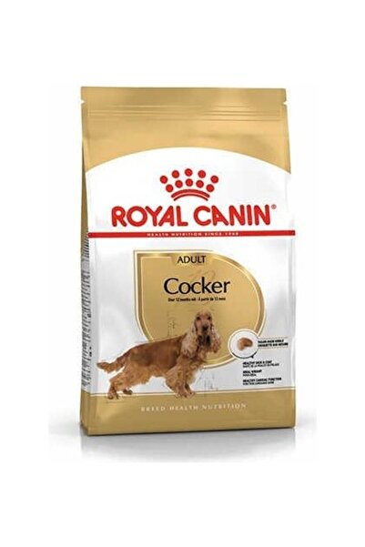 Royal Canin Cocker Kuru Köpek Maması 3kg