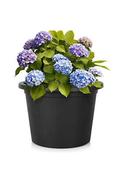 shumee Ghiveci de grădină din plastic, negru, rotund, 39 cm