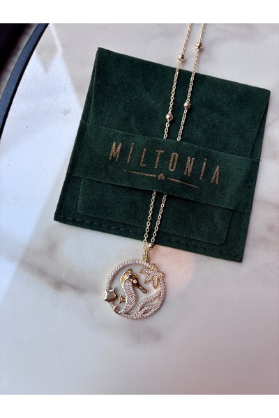 Miltonia Deniz Atı Yıldız Çelik Kolye