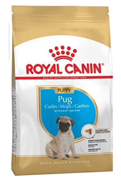 Royal Canin Pug Puppy Junıor Yavru Köpek Maması 1,5 kg