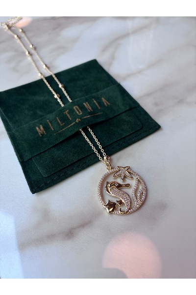 Miltonia Deniz Atı Yıldız Çelik Kolye