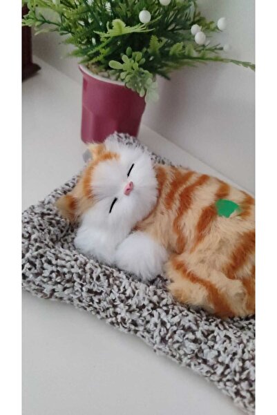 FAMEMUS ACCESSORY Sevimli Yatan Sesli Kedicik (17cm*17cm yatak dahil boyutu)